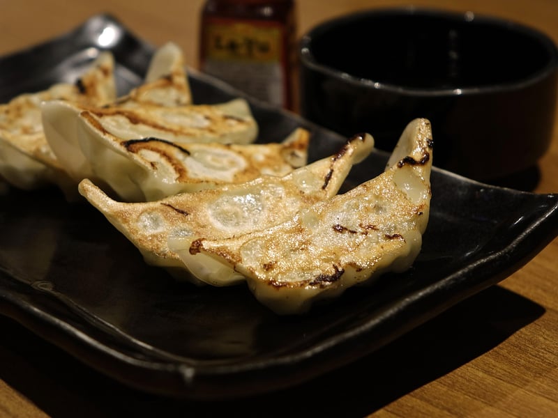 Gyoza Empanadas